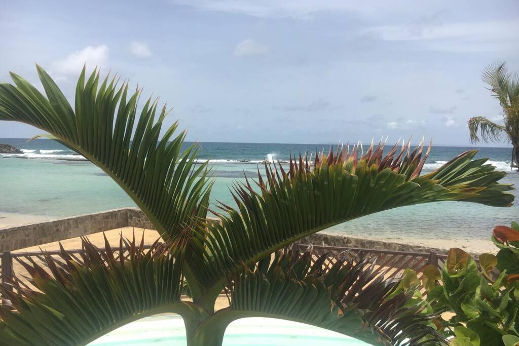 Superbe Studio Superieur Neuf Avec Balcon Saint-Francois (Grande-Terre) Exteriér fotografie